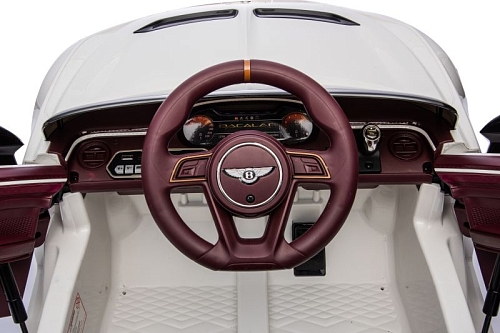 Автомобиль Bentley Bacalar JE1008 ЧЗ Зеленый краска Автомобиль Bentley Bacalar JE1008 ЧЗ Зеленый краска