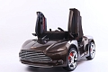 Автомобиль Aston Martin FLSeat YHF3913 Коричневый краска Автомобиль Aston Martin FLSeat YHF3913 Коричневый краска